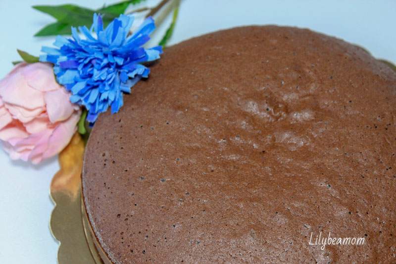 Pan di Spagna al cacao | paninisopraffini.com