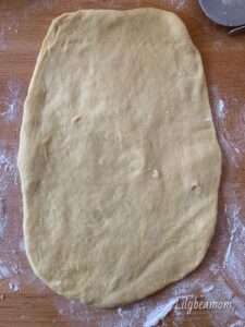 Preparazione del babka alla crema | step 1 |paninisopraffini.com